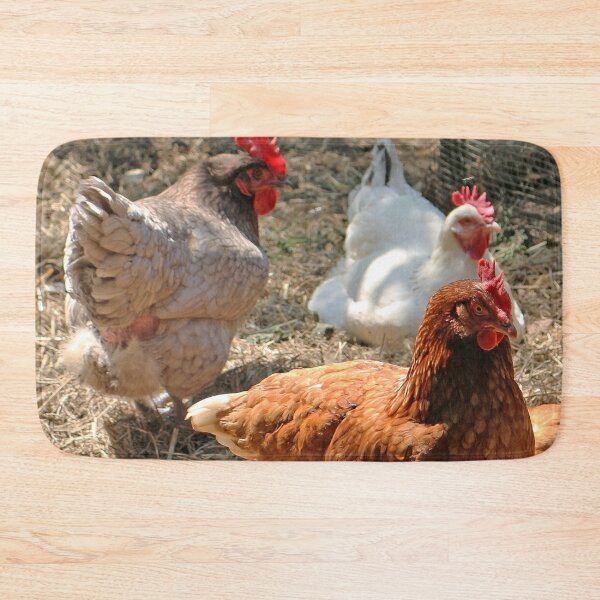 Item preview, Chickens designed and sold by pinkal.