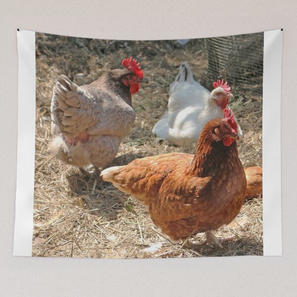 Item preview, Chickens designed and sold by pinkal.