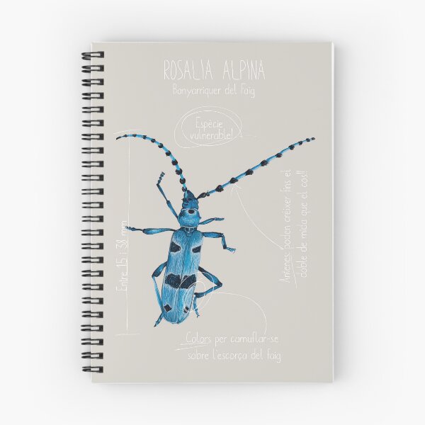 Item preview, scientific print of Rosalia Alpina designed and sold by AbbyLedGar.