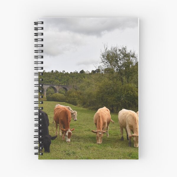 Item preview, Headstone Viaduct  Monsal Dale designed and sold by Graz-Photos.