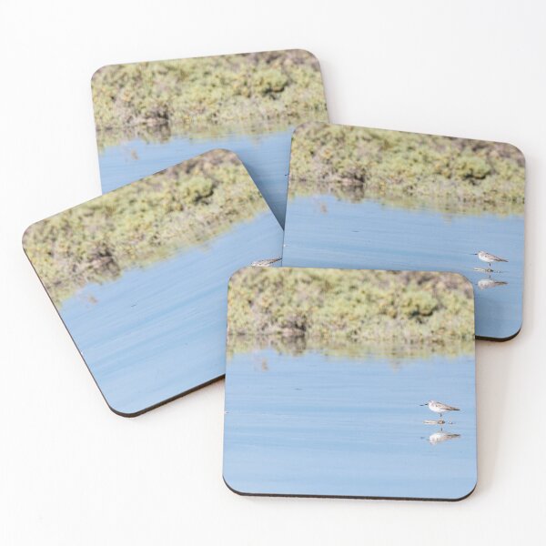 Item preview, Small bird in the mangrove of Umm Al Quwain, United Arab Emirates designed and sold by DavidGabisPhoto.