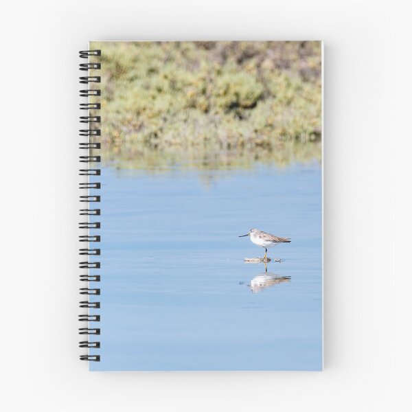 Item preview, Small bird in the mangrove of Umm Al Quwain, United Arab Emirates designed and sold by DavidGabisPhoto.