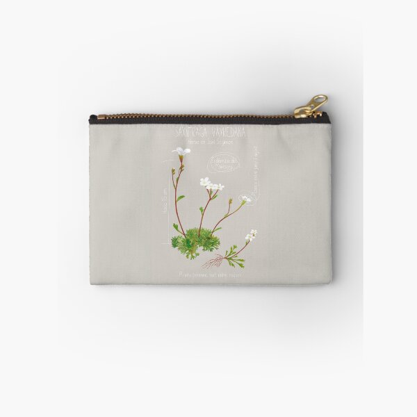 Item preview, Saxifraga Vayredana Scientific Drawing Sheet designed and sold by AbbyLedGar.