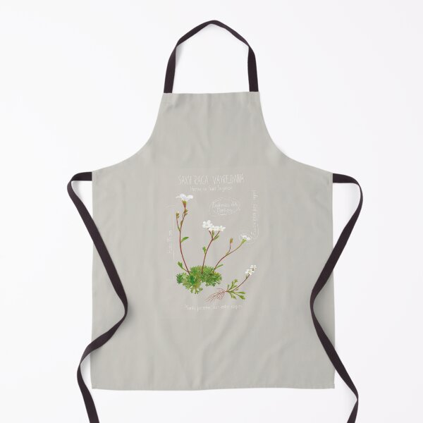 Item preview, Saxifraga Vayredana Scientific Drawing Sheet designed and sold by AbbyLedGar.
