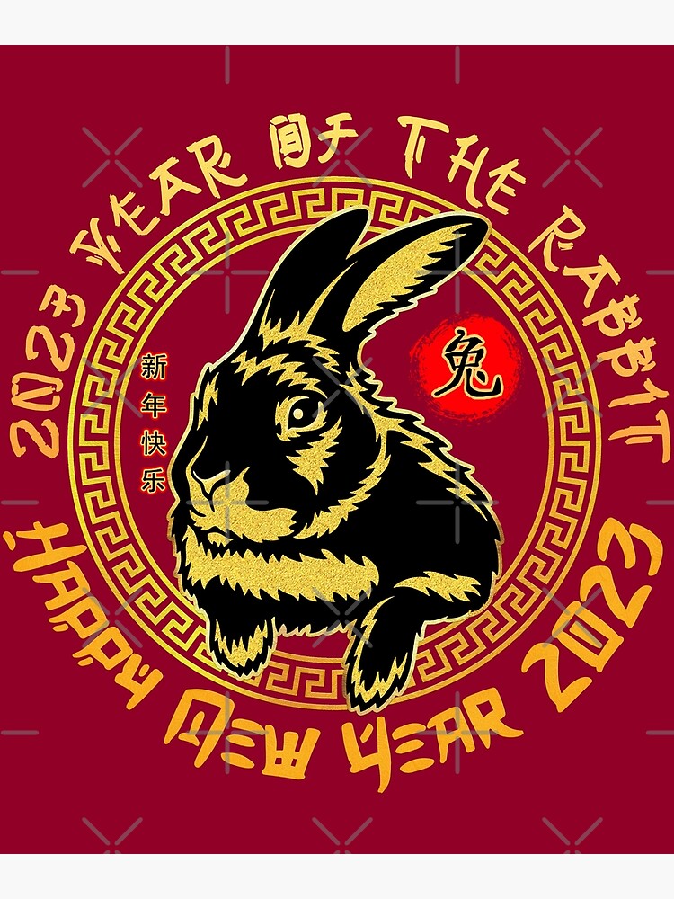 Year of the Rabbit 2023 - myplasticheart