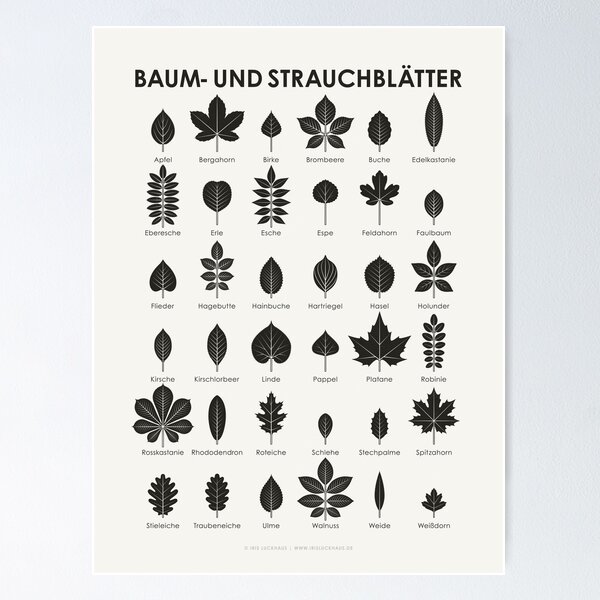 Item preview, Tree leaves and shrub leaves infographic / chart (German) designed and sold by Iris Luckhaus.