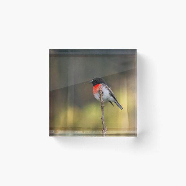 Item preview, ~ Scarlet Robin ~ designed and sold by Leeo.