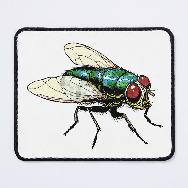 Item preview, Cartoon Fly designed and sold by TikiLuke.