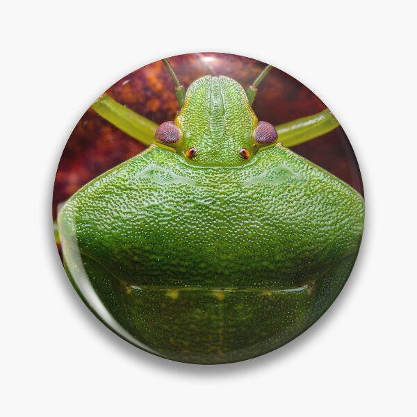 Item preview, Green Stink Bug - Chinavia hilaris designed and sold by AronsTinySafari.