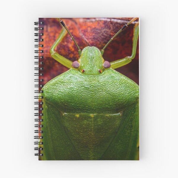 Item preview, Green Stink Bug - Chinavia hilaris designed and sold by AronsTinySafari.