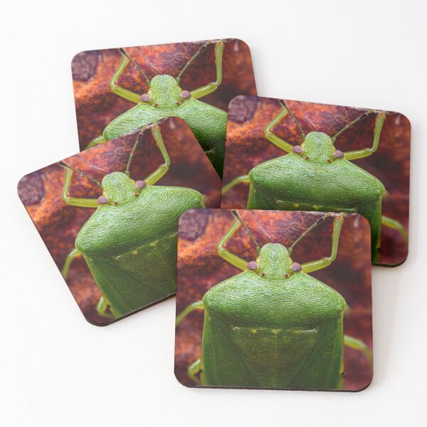 Item preview, Green Stink Bug - Chinavia hilaris designed and sold by AronsTinySafari.