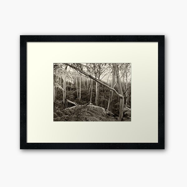 Item preview, Mountain Ash & Ferns in Morning Mist designed and sold by Geoff Smith.