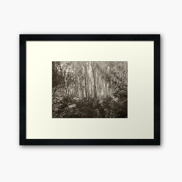 Item preview, Mountain Ash in Mist designed and sold by Geoff Smith.