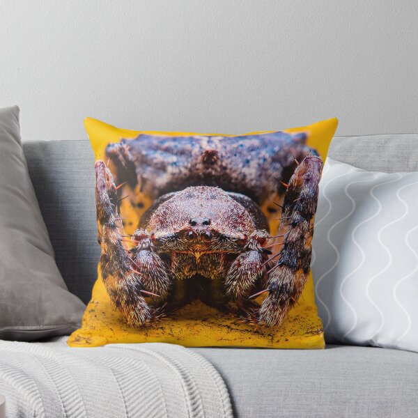 Item preview, Orb Weaver Spider - Araneidae designed and sold by AronsTinySafari.
