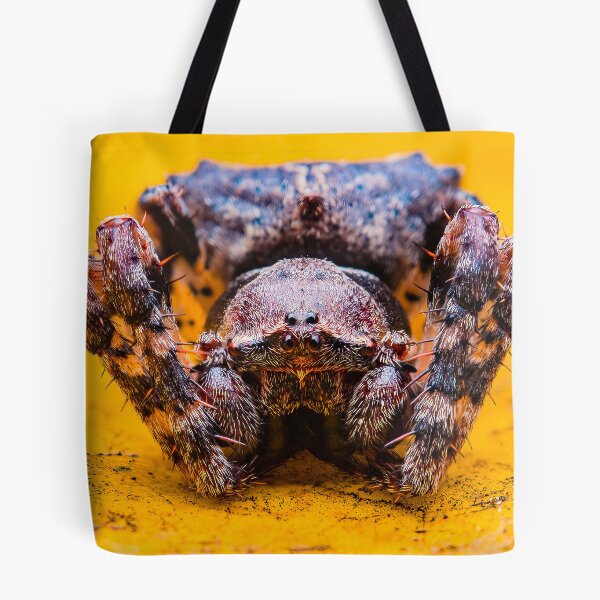 Item preview, Orb Weaver Spider - Araneidae designed and sold by AronsTinySafari.