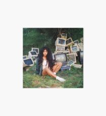 SZA Poster Art Board