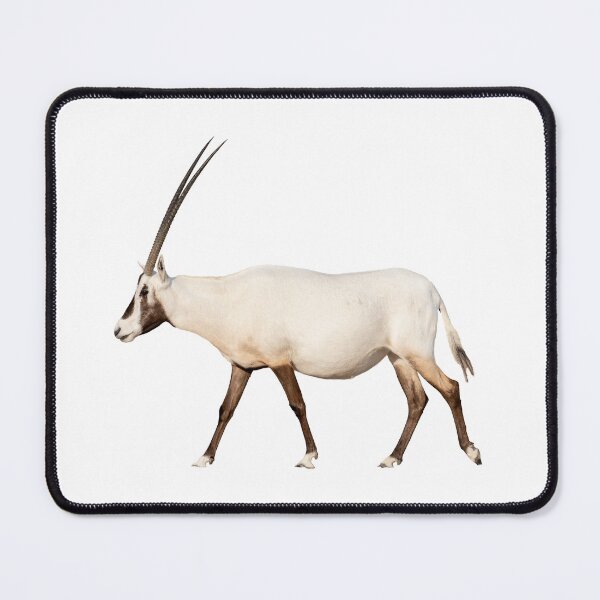 Item preview, Single Oryx walking, side view designed and sold by stedata.