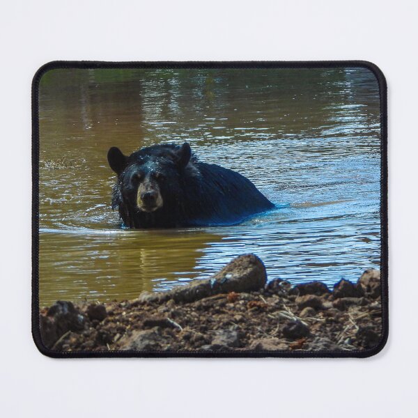 Item preview, Bear Bath designed and sold by Craig Kauzmann.