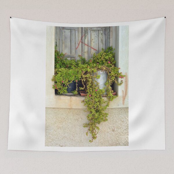 Item preview, Plants at an old building facade window  designed and sold by oanaunciuleanu.