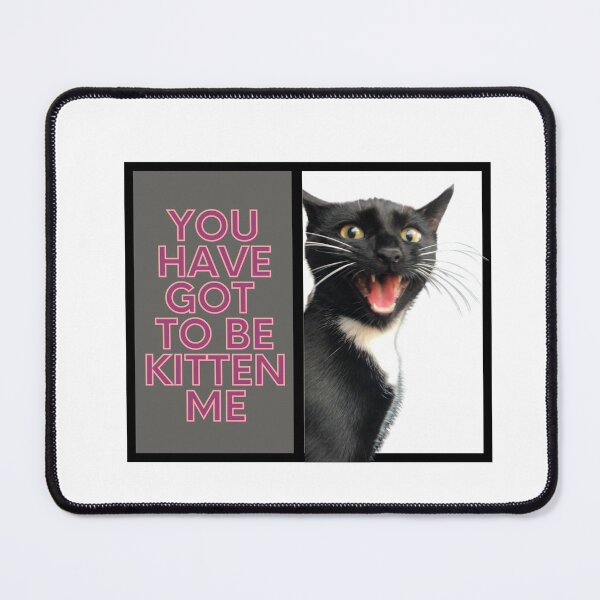 Item preview, You have got to be kitten me cat designed and sold by RAndG.