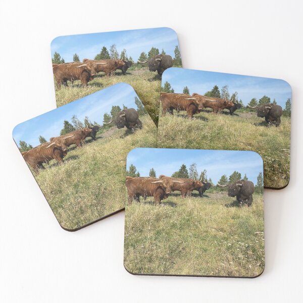 Item preview, Scottish Highland Cattle Bulls 4041 designed and sold by SaarelaHighland.