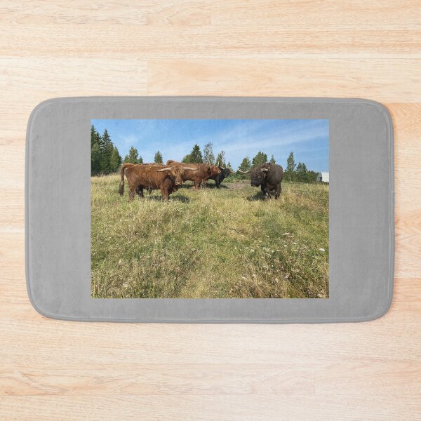 Item preview, Scottish Highland Cattle Bulls 4041 designed and sold by SaarelaHighland.