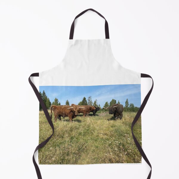 Aperçu de l'œuvre Scottish Highland Cattle Bulls 4041 créée et vendue par SaarelaHighland.