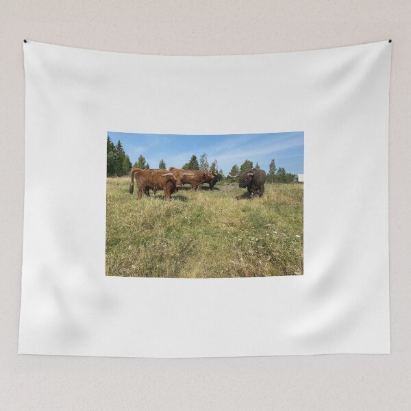Item preview, Scottish Highland Cattle Bulls 4041 designed and sold by SaarelaHighland.