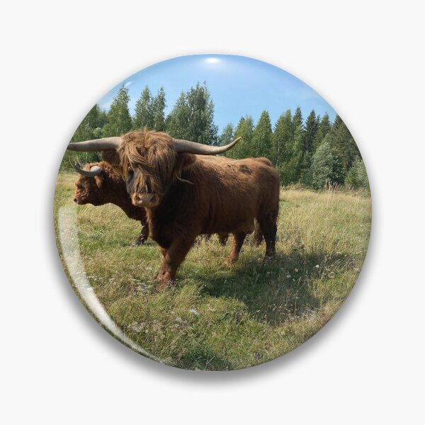 Artikelvorschau, Scottish Highland Cattle Bulls 4042 entworfen und verkauft von SaarelaHighland.