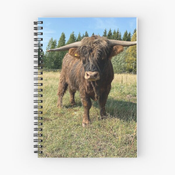 Item preview, Scottish Highland Cattle Bull 4043 designed and sold by SaarelaHighland.
