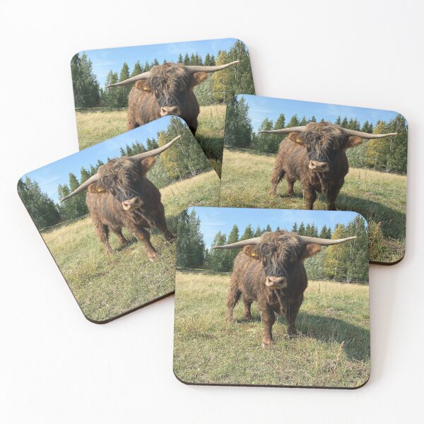 Artikelvorschau, Scottish Highland Cattle Bull 4043 entworfen und verkauft von SaarelaHighland.