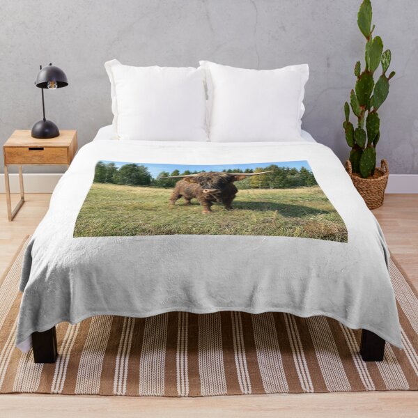 Artikelvorschau, Scottish Highland Cattle Bull 4043 entworfen und verkauft von SaarelaHighland.