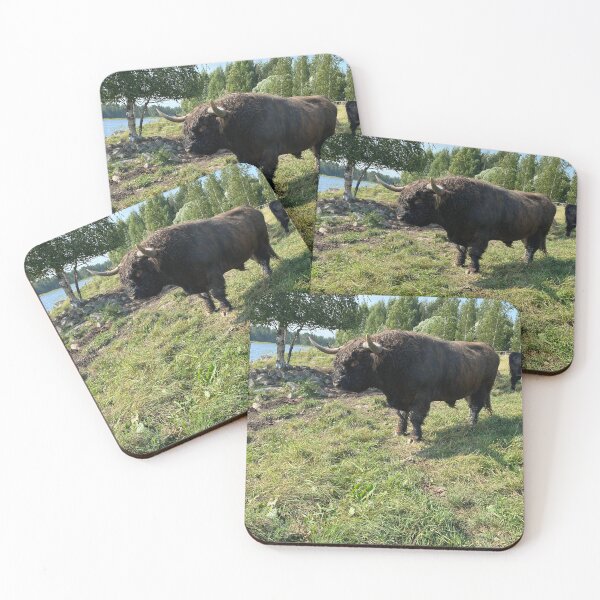 Item preview, Scottish Highland Cattle Bull 4044 designed and sold by SaarelaHighland.