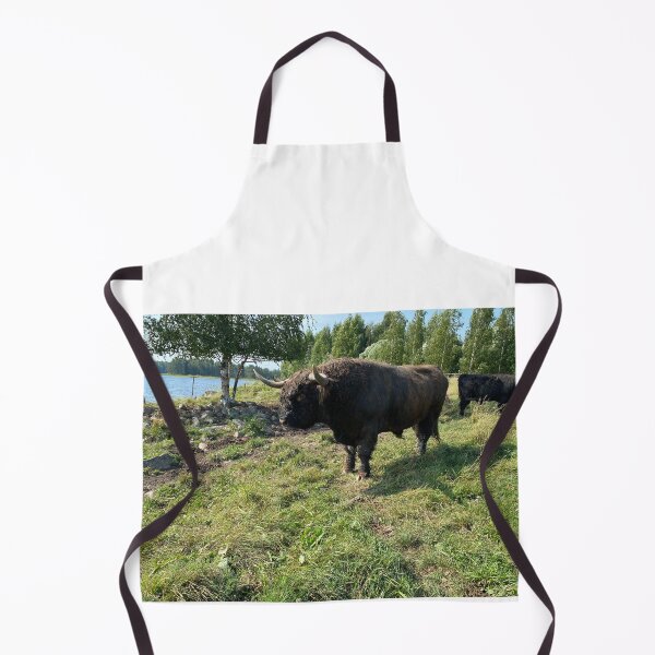 Aperçu de l'œuvre Scottish Highland Cattle Bull 4044 créée et vendue par SaarelaHighland.