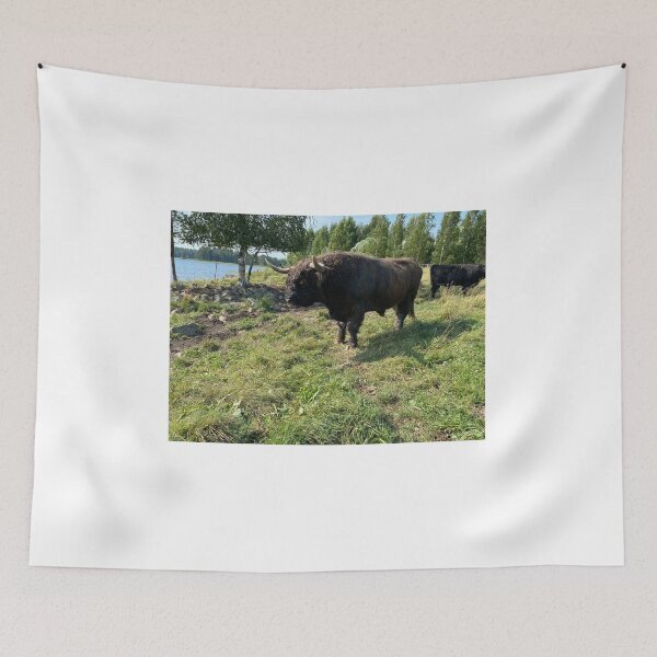 Item preview, Scottish Highland Cattle Bull 4044 designed and sold by SaarelaHighland.
