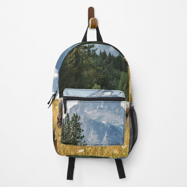 Item preview, Horses Grazing in front of the Teton Mountains, Wyoming, United States designed and sold by newburyboutique.