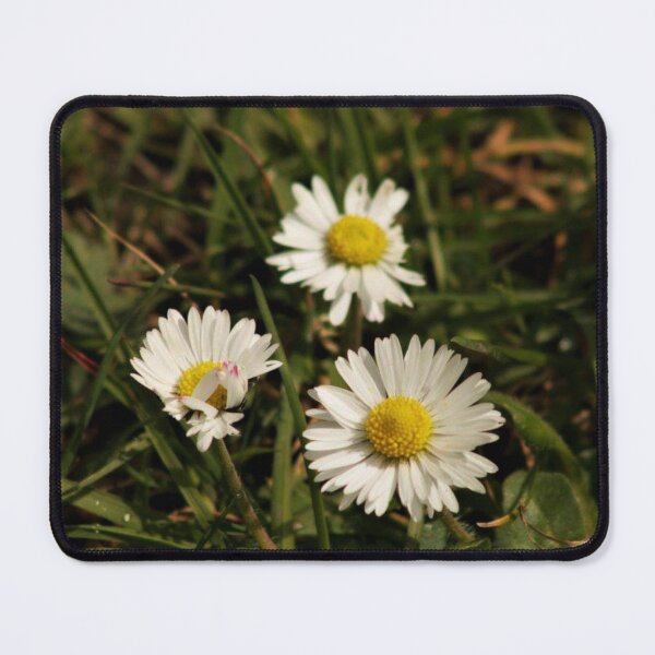Item preview, daisies designed and sold by Francespoppy.