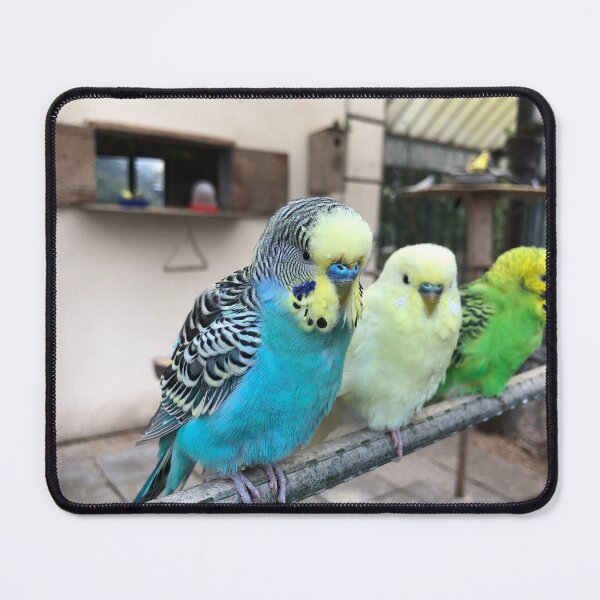 Item preview, Budgie Life  designed and sold by 270Designs.