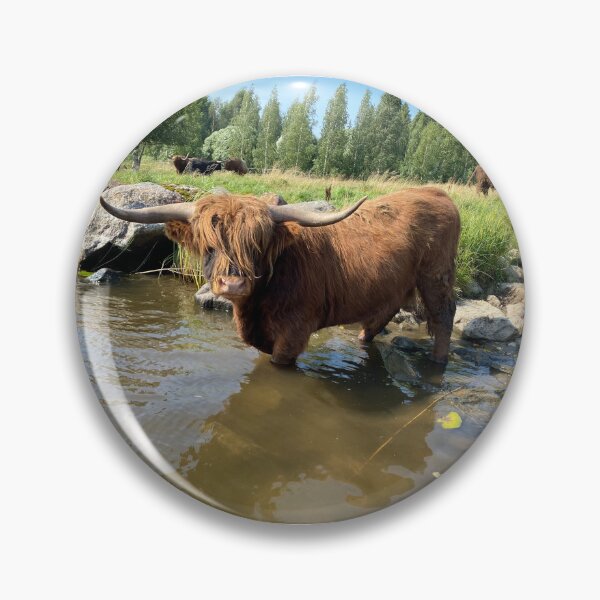 Artikelvorschau, Scottish Highland Cattle Bull 4045 entworfen und verkauft von SaarelaHighland.