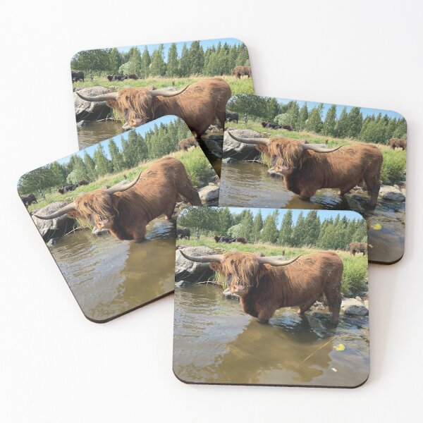 Artikelvorschau, Scottish Highland Cattle Bull 4045 entworfen und verkauft von SaarelaHighland.