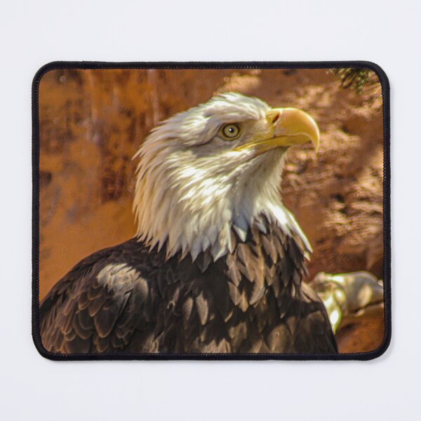 Item preview, Eagle 01 Image By Rich AMeN Gill designed and sold by RichAMeNGill.