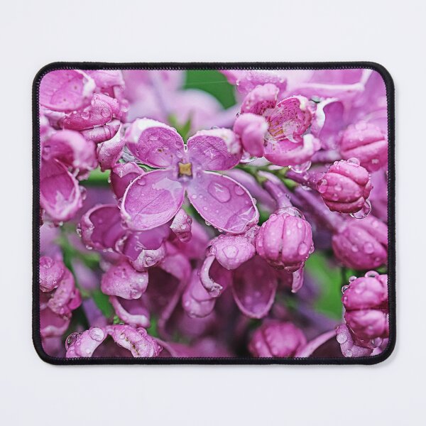 Item preview, Macro Lilac inflorescence of lilac (Syringa) with raindrops on the petals - Cute Floral Gift designed and sold by r-silver.