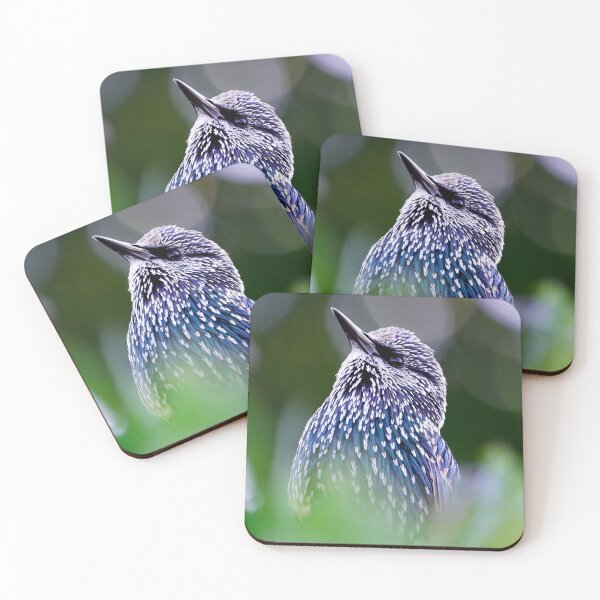 Item preview, Starling designed and sold by photobytableau.