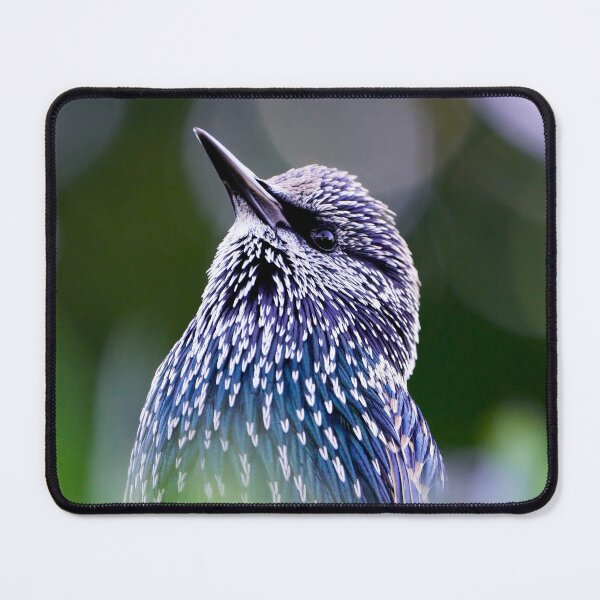 Item preview, Starling designed and sold by photobytableau.