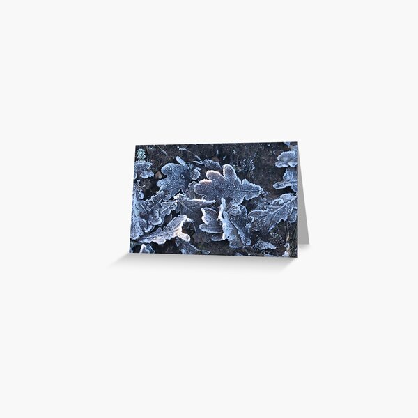 Frosty Leaves Greeting Card