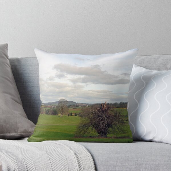 Item preview, View At Escot Devon UK designed and sold by lynn carter.