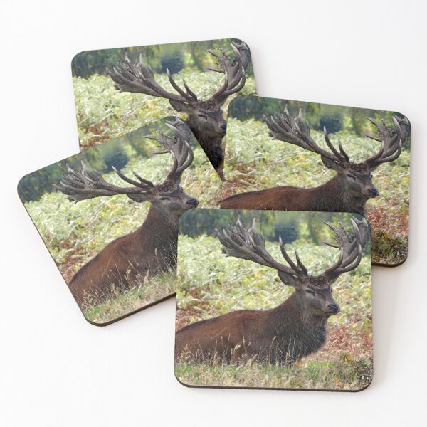 Item preview, A Regal Red Stag designed and sold by Karen Thomson.
