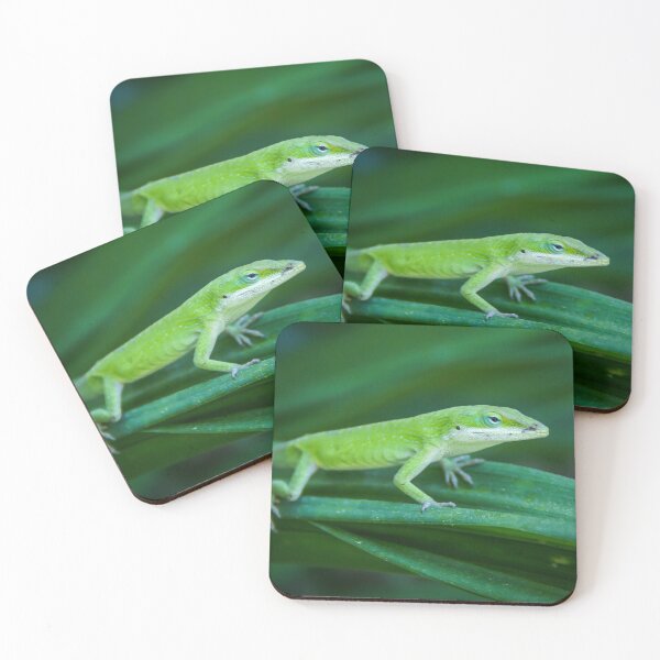 Item preview, Lagarto anolis verde designed and sold by tlp21.