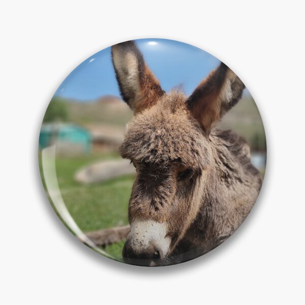 Item preview, A donkey in Kyrgisztan designed and sold by MaltaDrey.
