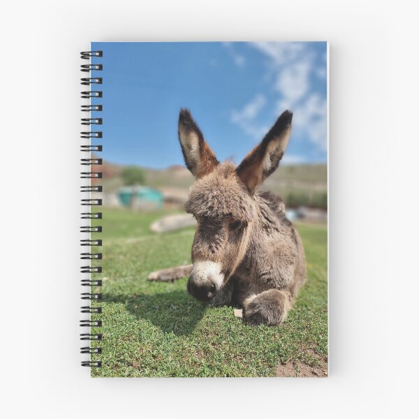 Item preview, A donkey in Kyrgisztan designed and sold by MaltaDrey.